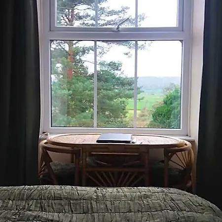 李子树之家住宿加早餐旅馆