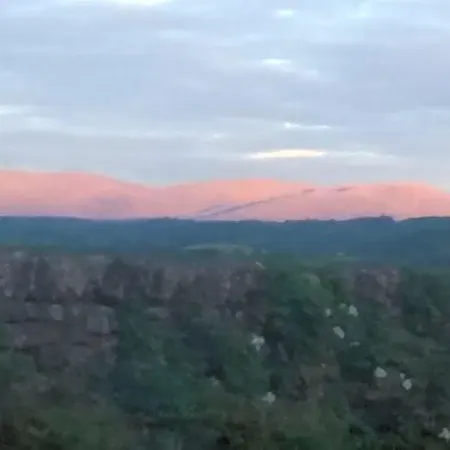 李子树之家住宿加早餐旅馆