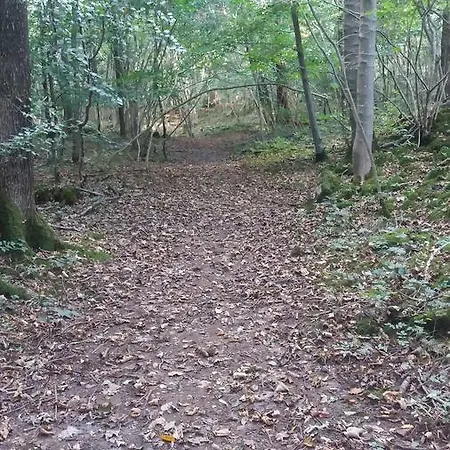 李子树之家住宿加早餐旅馆
