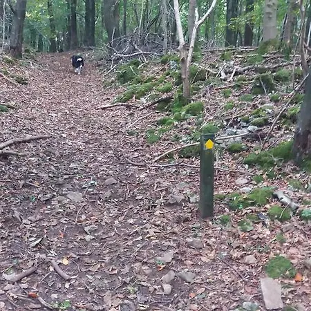 Plumtree House Frühstückspension Brigsteer