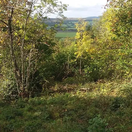 Frühstückspension Plumtree House Brigsteer