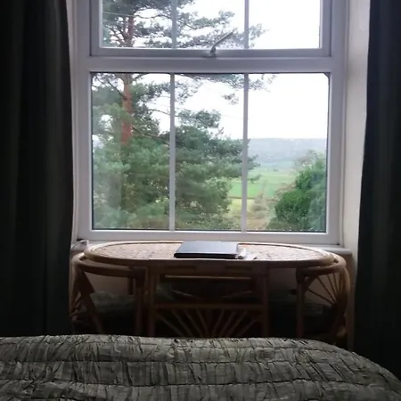 李子树之家住宿加早餐旅馆