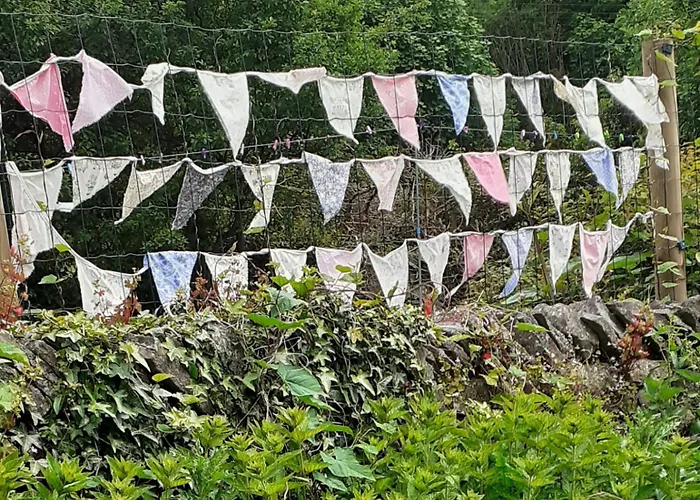 李子树之家住宿加早餐旅馆 3*