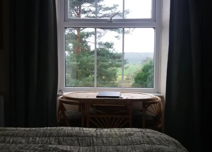 李子树之家住宿加早餐旅馆