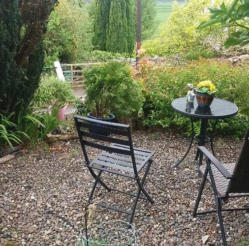 李子树之家住宿加早餐旅馆 3*