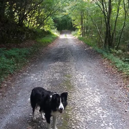 Plumtree House 3* Brigsteer