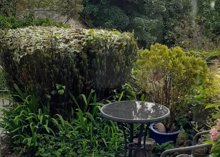 Plumtree House Bed & Breakfast Brigsteer