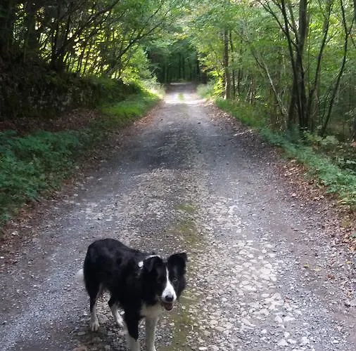 Plumtree House 3* Brigsteer