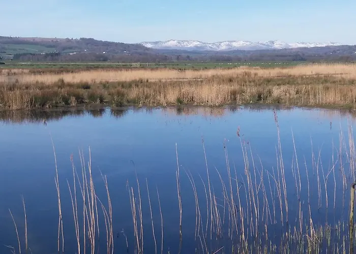 Bed & Breakfast Plumtree House 3*