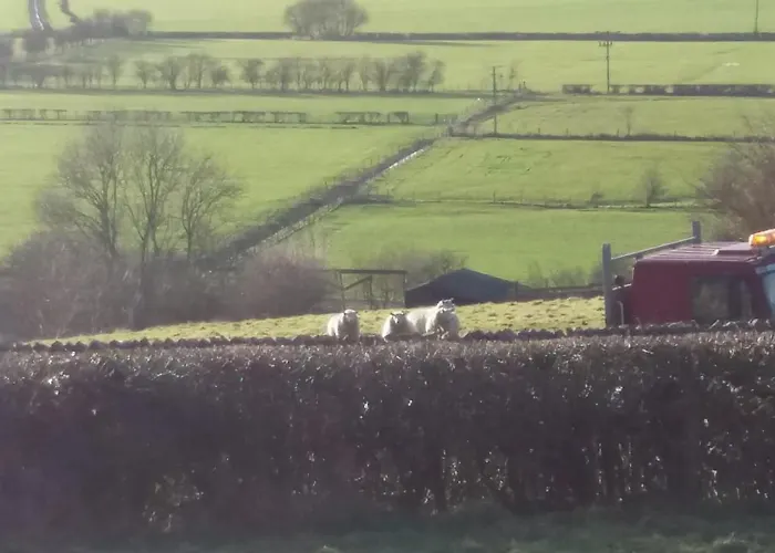 Plumtree House Bed & Breakfast 3*